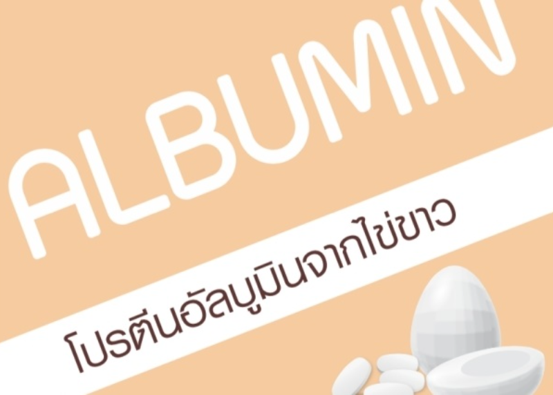 อัลบูมิน (Albumin) โปรตีนจากไข่ขาว | Ploenjai Health Supplies